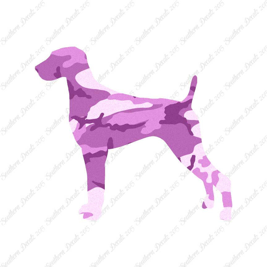 Weimaraner Dog Breed