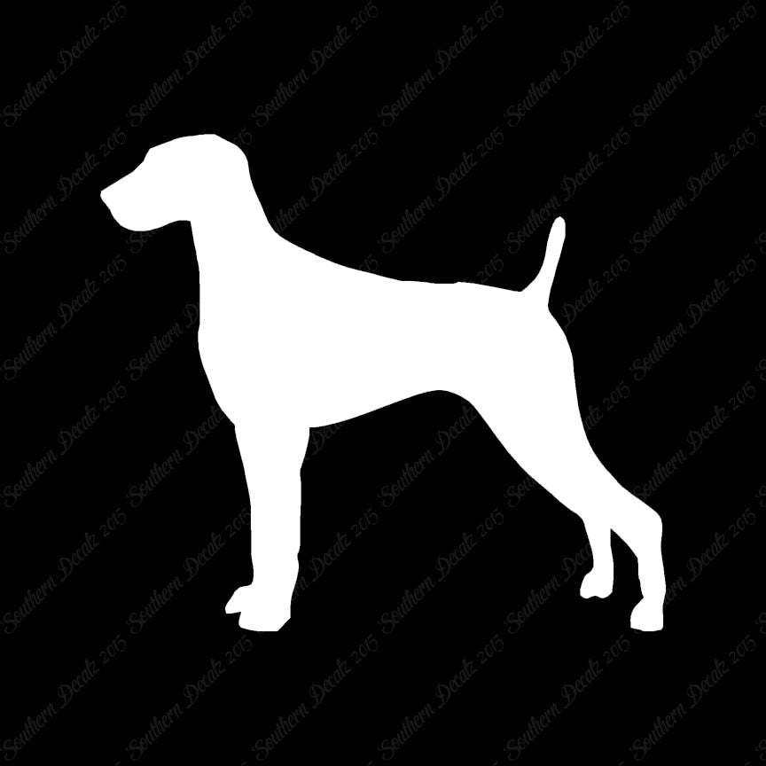 Weimaraner Dog Breed