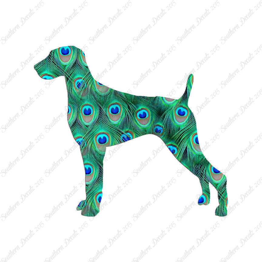Weimaraner Dog Breed
