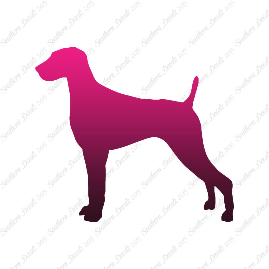 Weimaraner Dog Breed