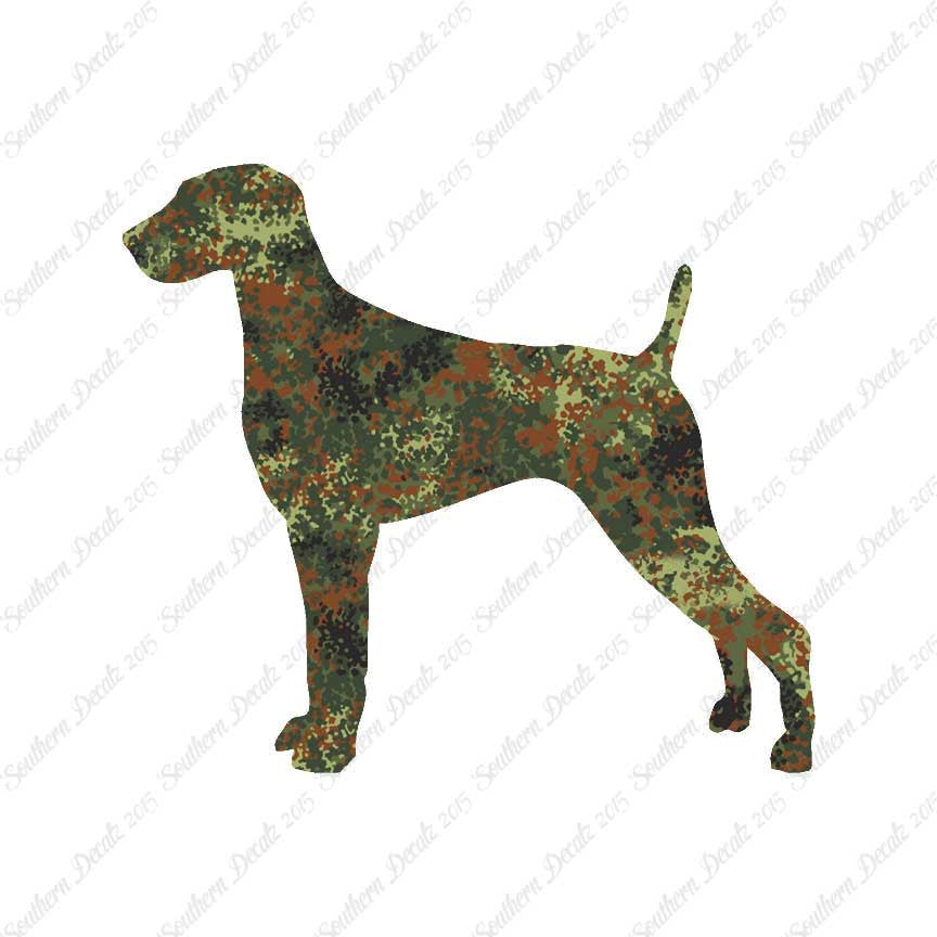 Weimaraner Dog Breed