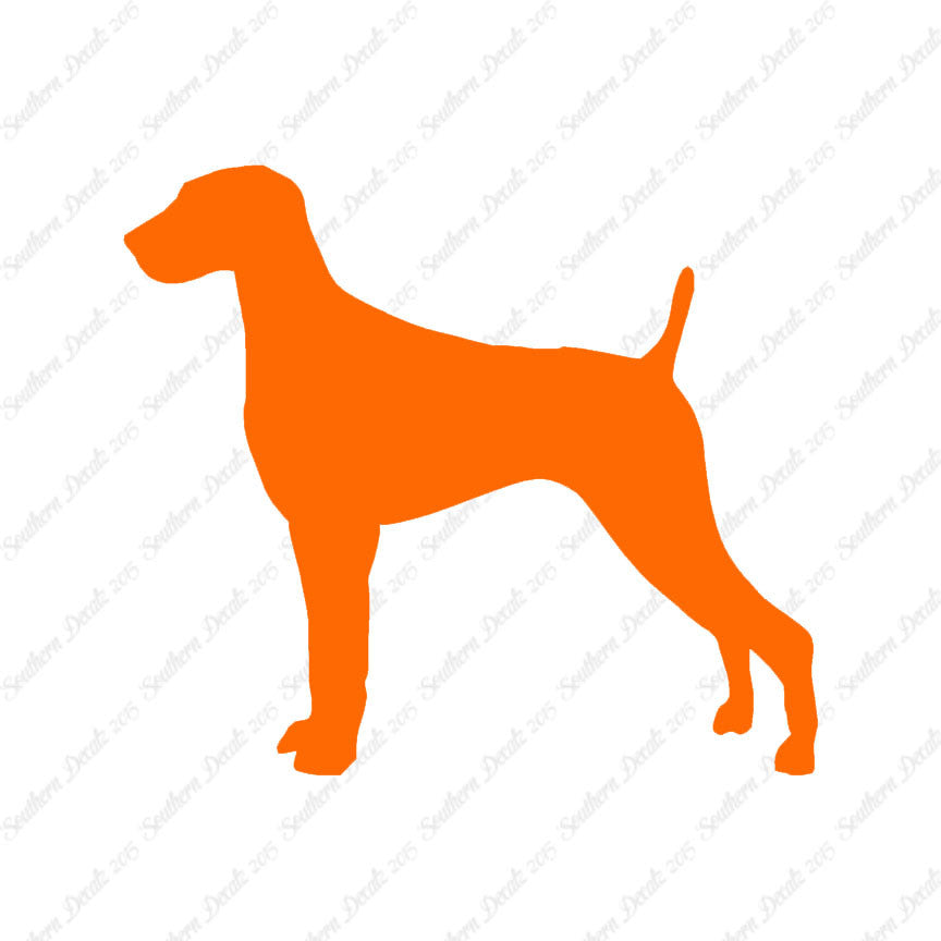 Weimaraner Dog Breed