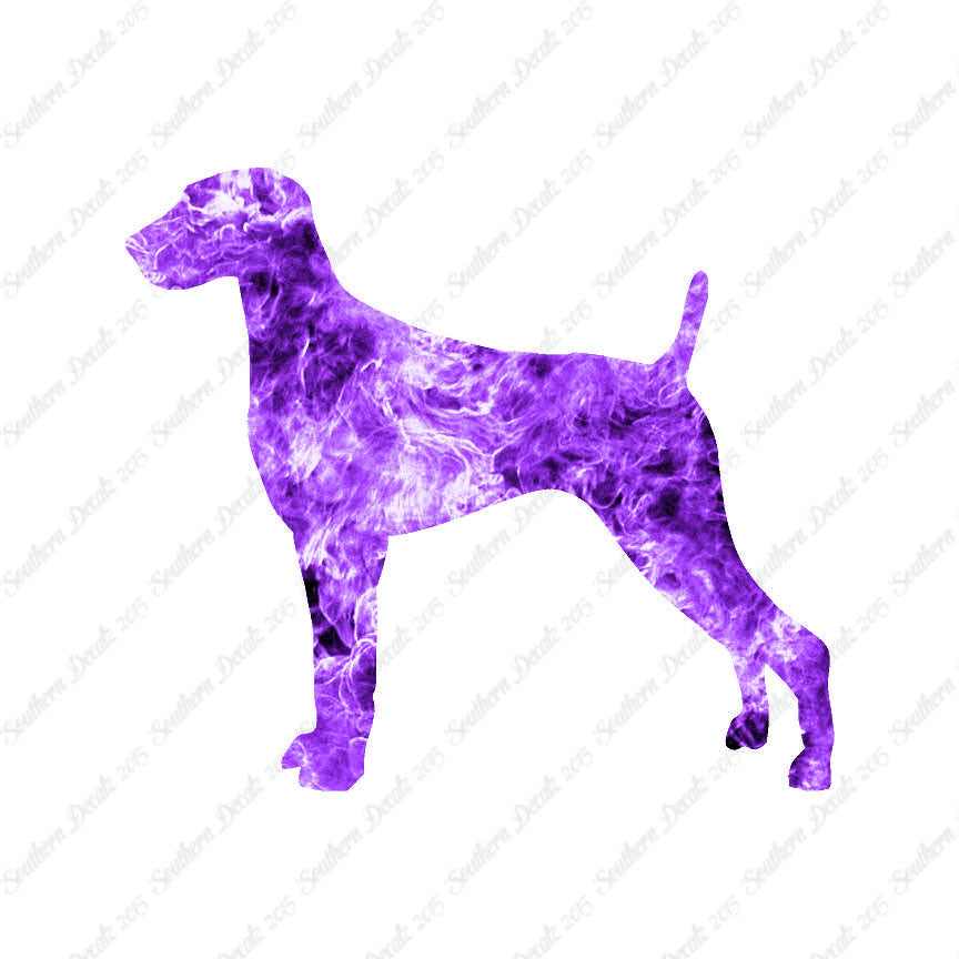 Weimaraner Dog Breed
