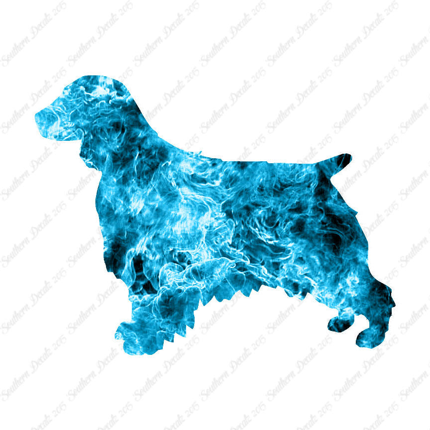 Welsh Springer Spaniel Dog Breed