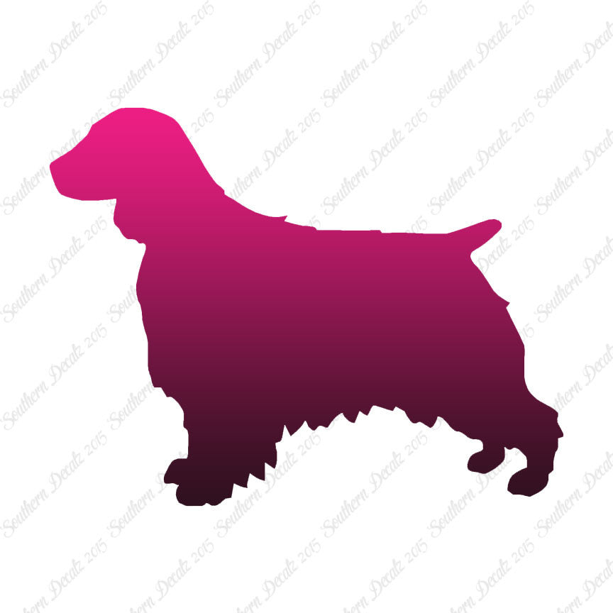 Welsh Springer Spaniel Dog Breed