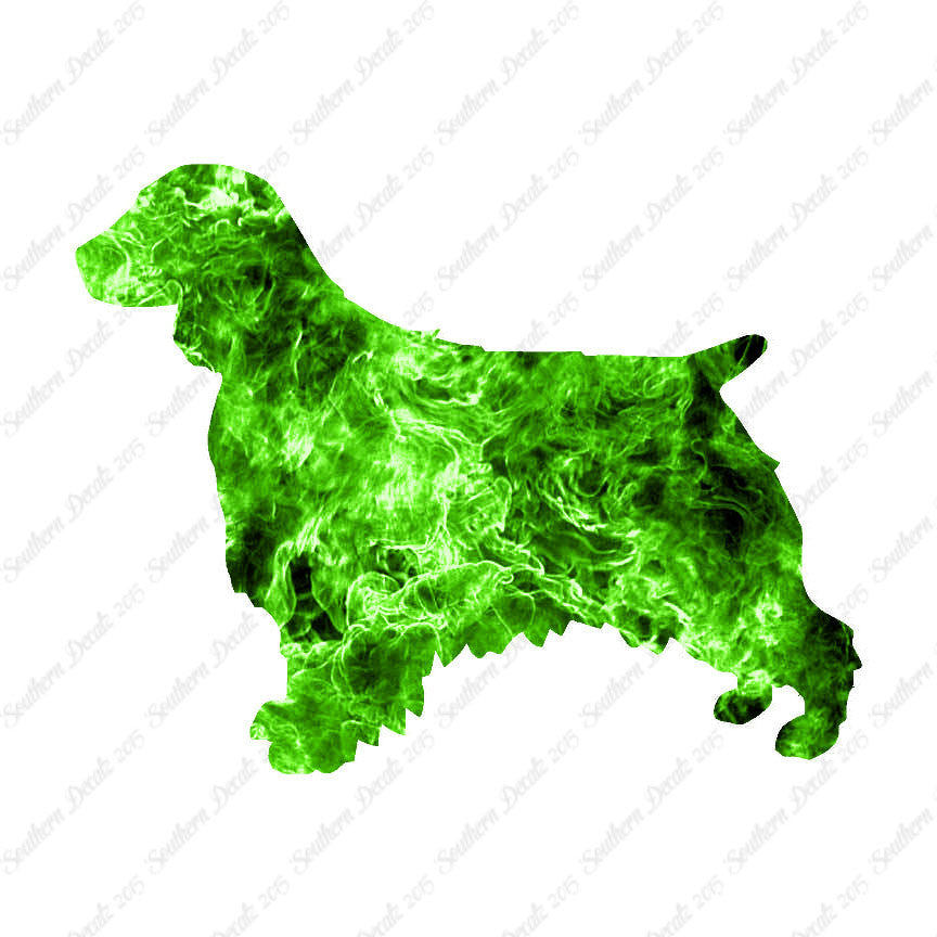 Welsh Springer Spaniel Dog Breed