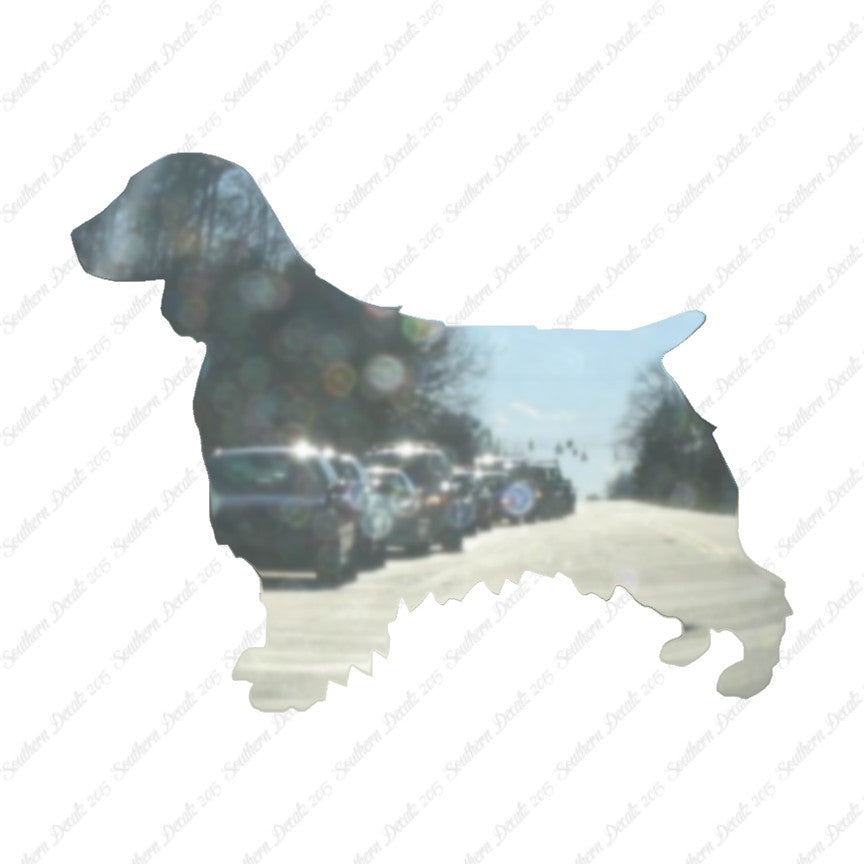 Welsh Springer Spaniel Dog Breed