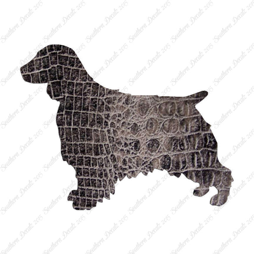 Welsh Springer Spaniel Dog Breed
