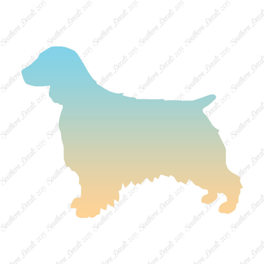 Welsh Springer Spaniel Dog Breed