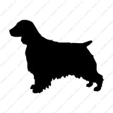 Welsh Springer Spaniel Dog Breed