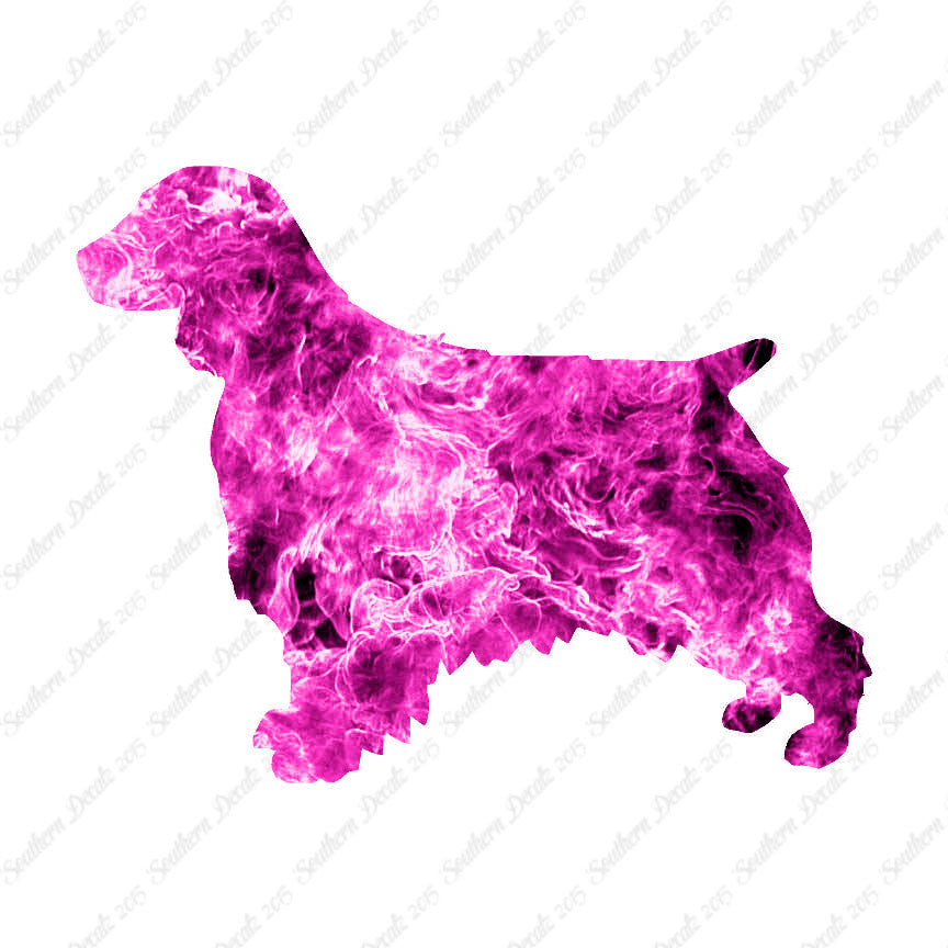 Welsh Springer Spaniel Dog Breed