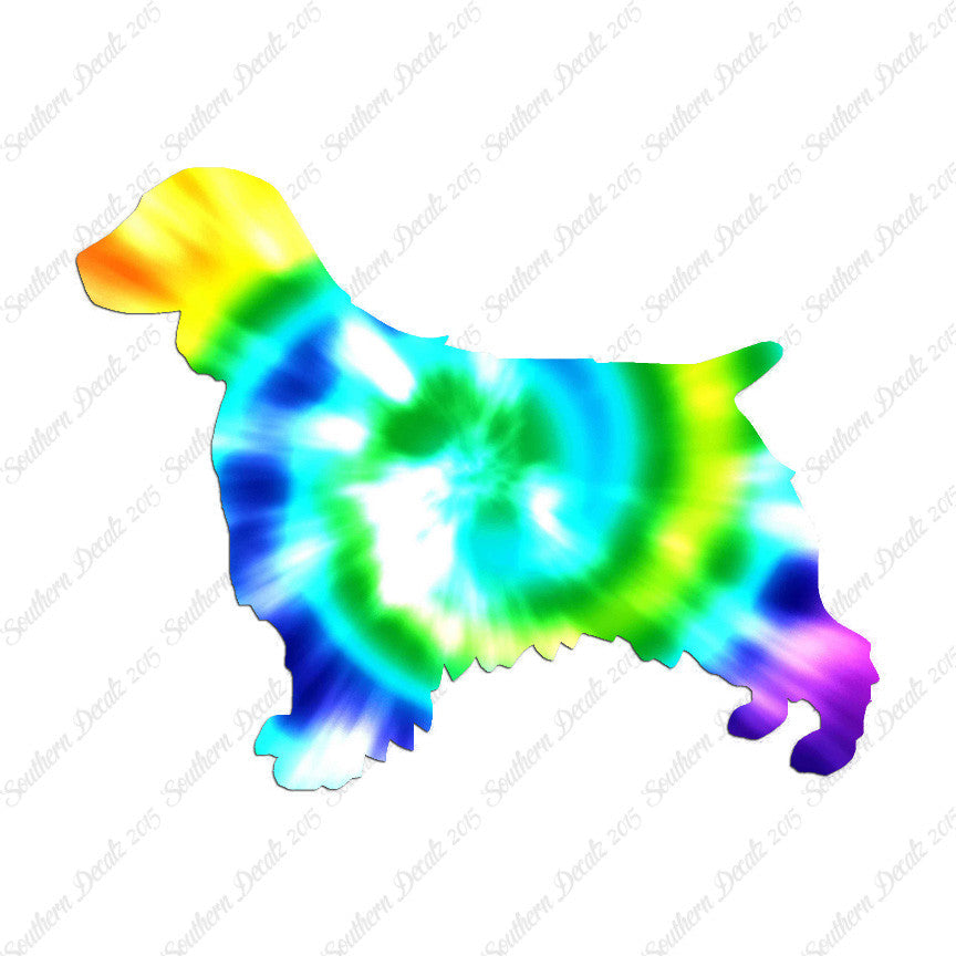 Welsh Springer Spaniel Dog Breed