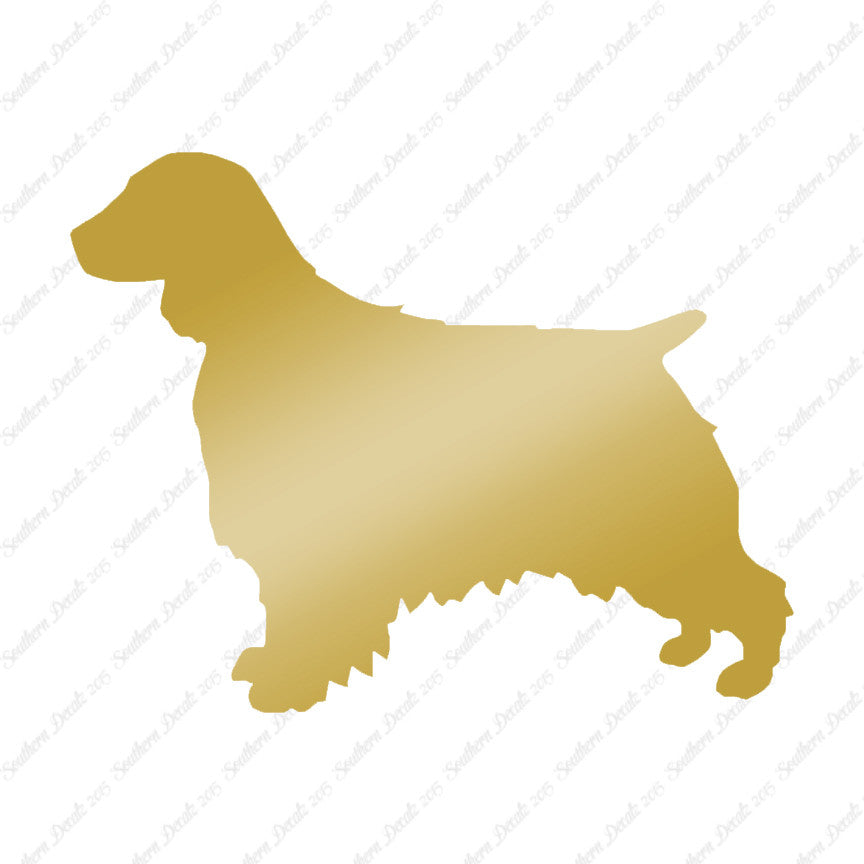 Welsh Springer Spaniel Dog Breed