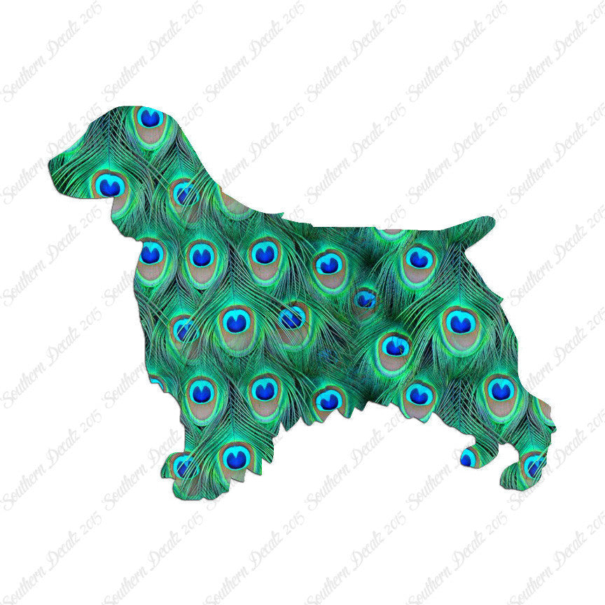 Welsh Springer Spaniel Dog Breed