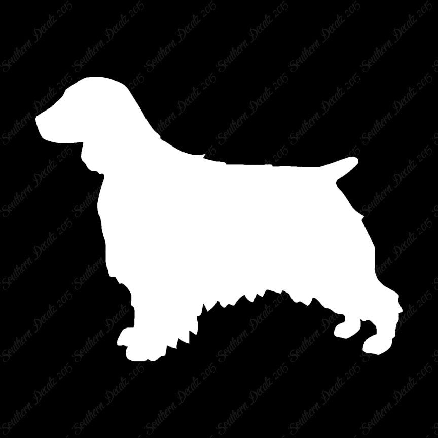 Welsh Springer Spaniel Dog Breed