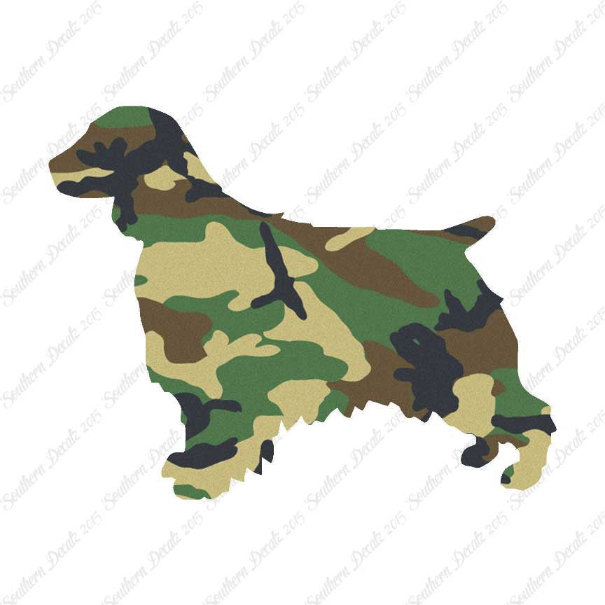 Welsh Springer Spaniel Dog Breed