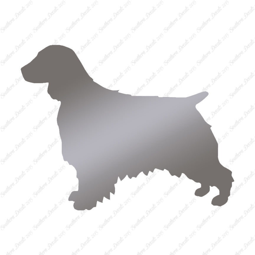 Welsh Springer Spaniel Dog Breed
