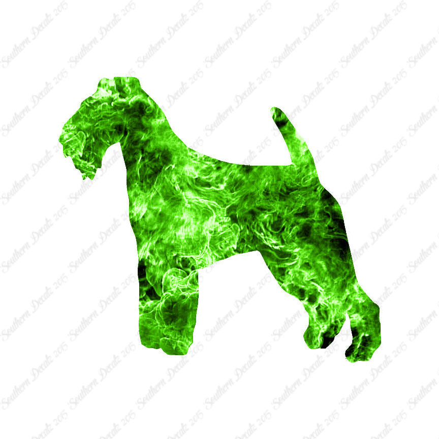 Welsh Terrier Dog Breed