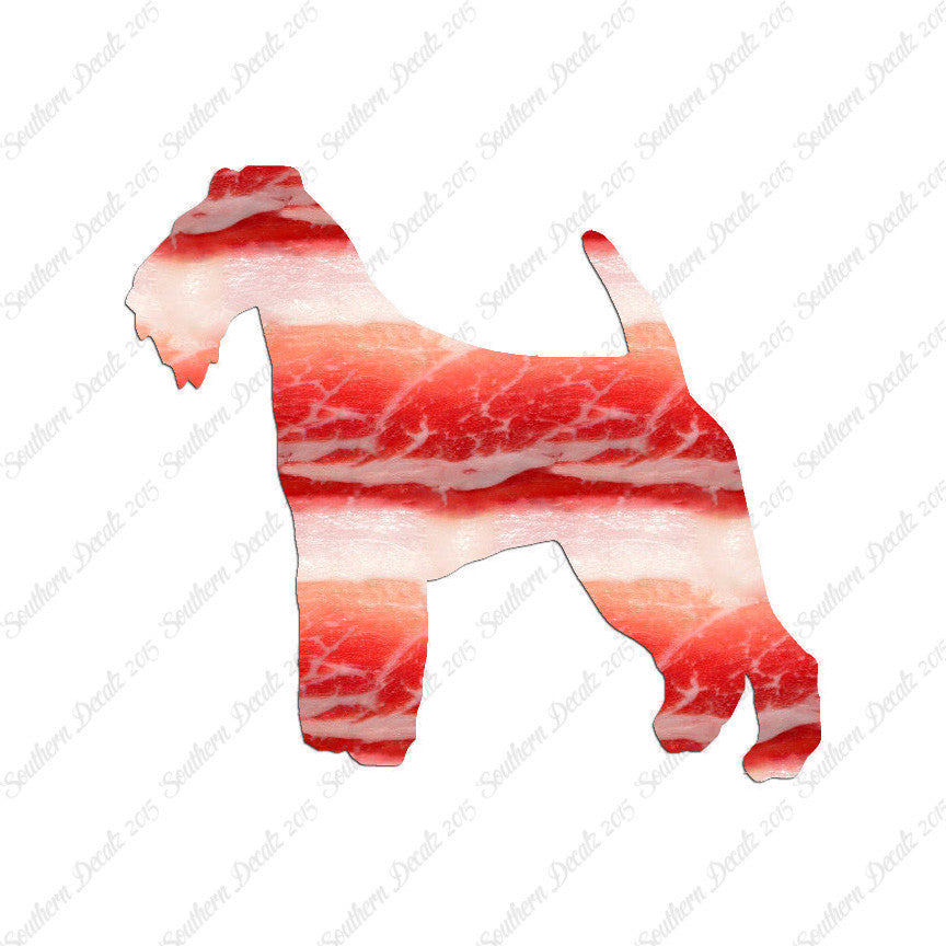 Welsh Terrier Dog Breed