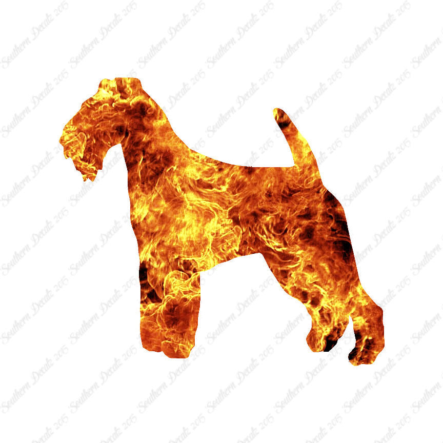 Welsh Terrier Dog Breed