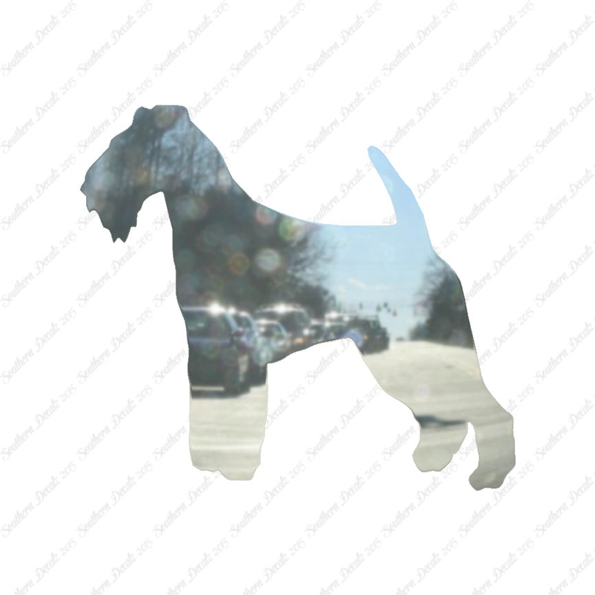 Welsh Terrier Dog Breed