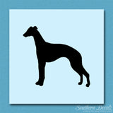 Whippet Dog Breed