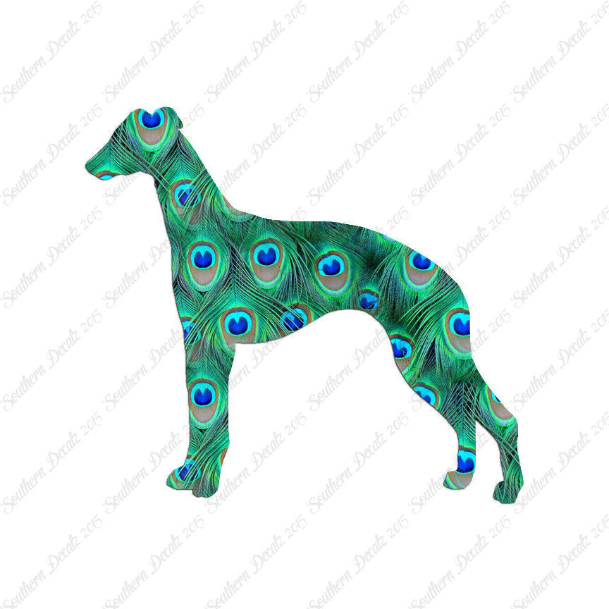 Whippet Dog Breed