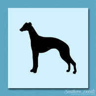 Whippet Dog Breed