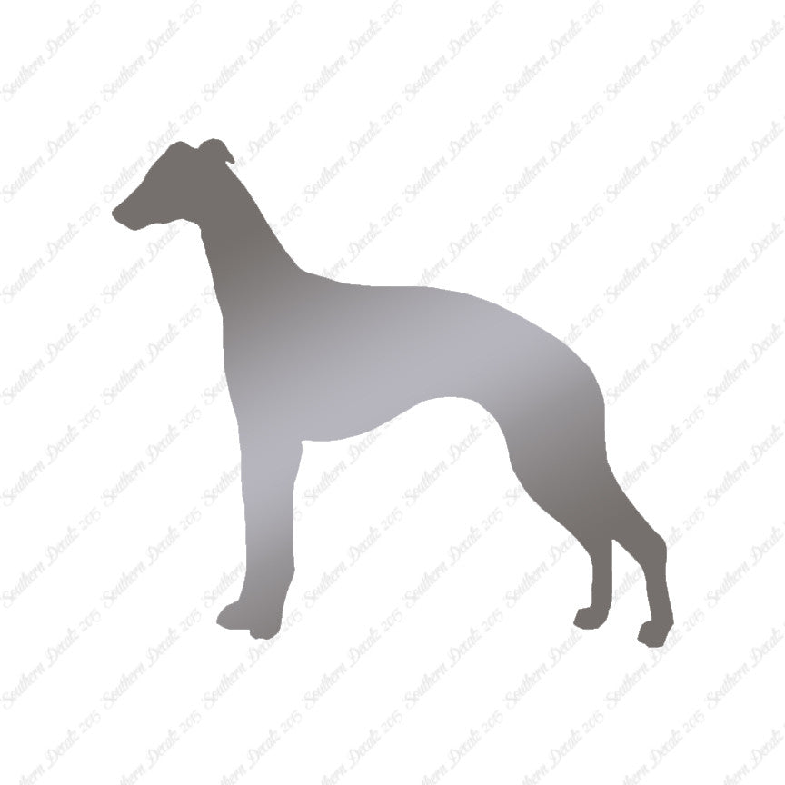 Whippet Dog Breed