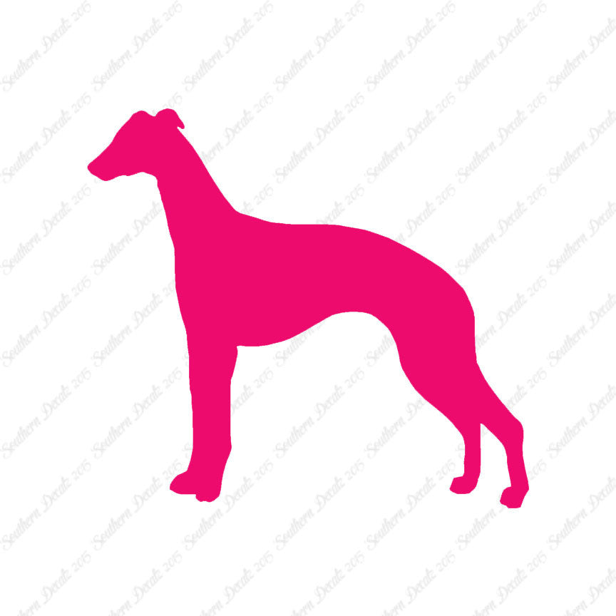 Whippet Dog Breed