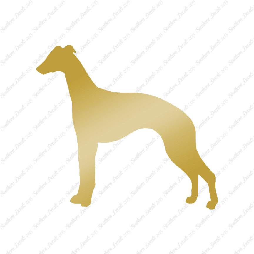 Whippet Dog Breed