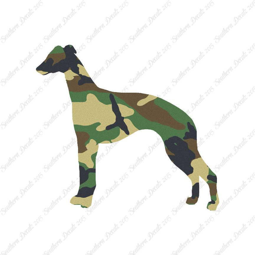 Whippet Dog Breed