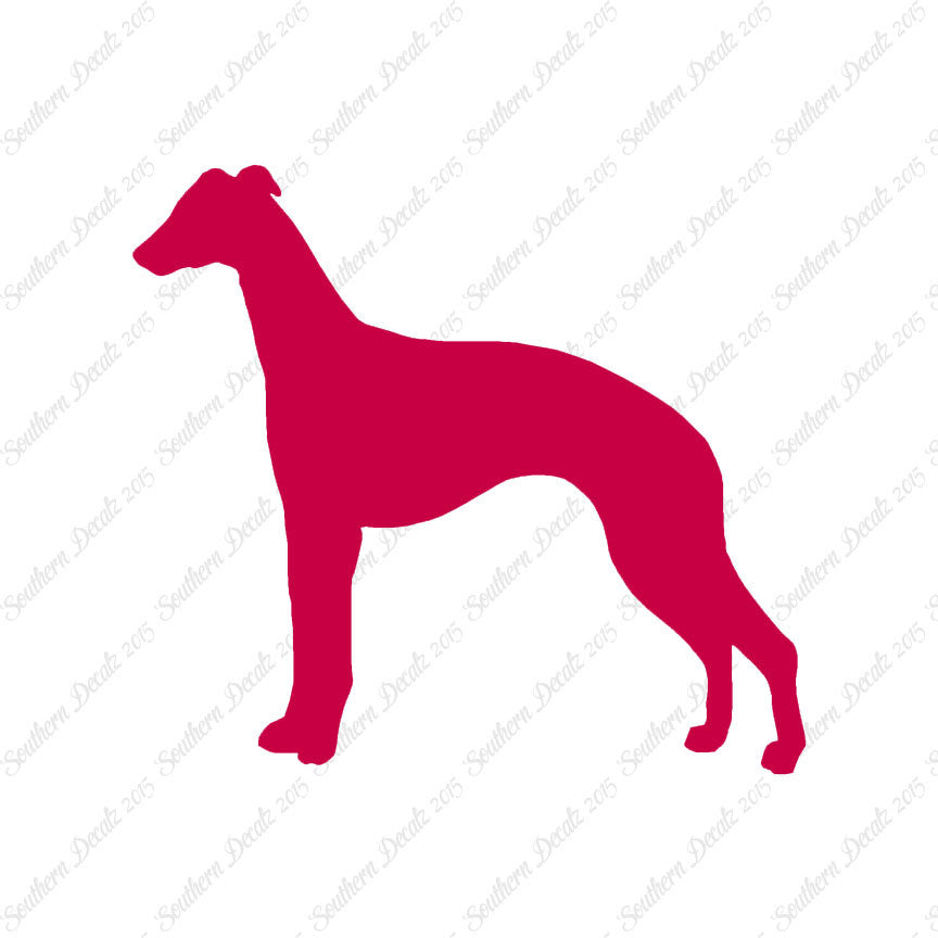 Whippet Dog Breed