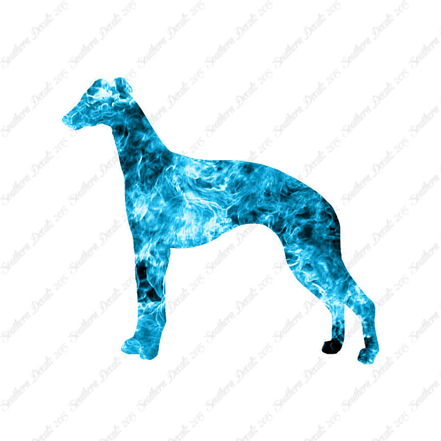 Whippet Dog Breed