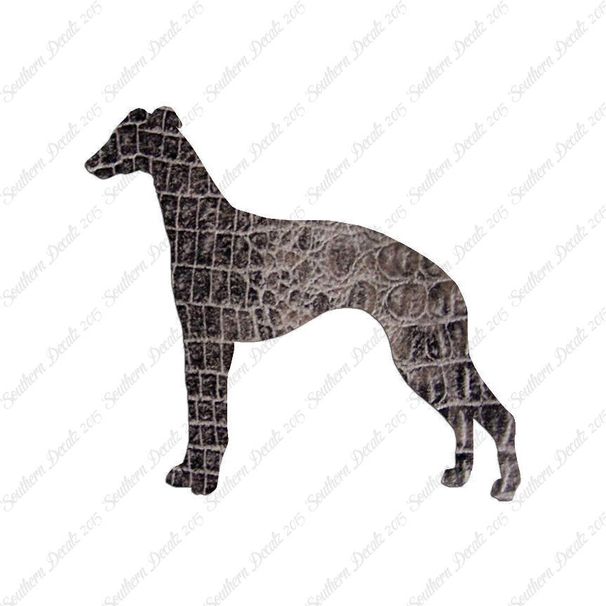 Whippet Dog Breed
