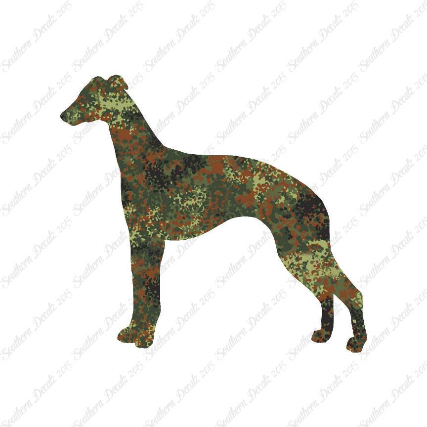 Whippet Dog Breed
