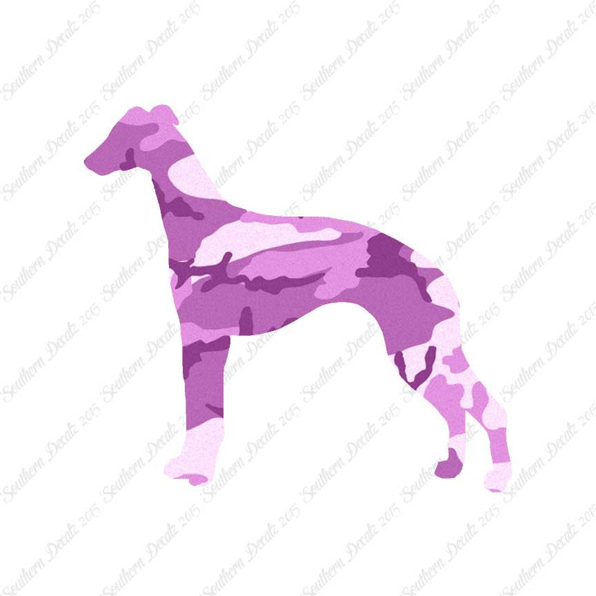 Whippet Dog Breed