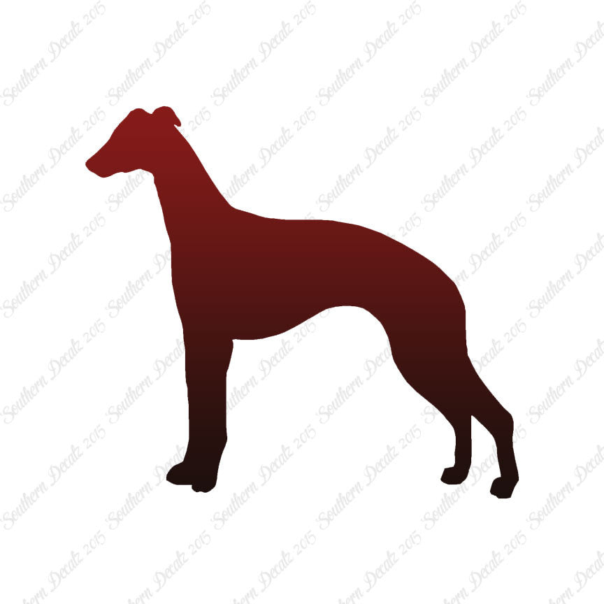 Whippet Dog Breed