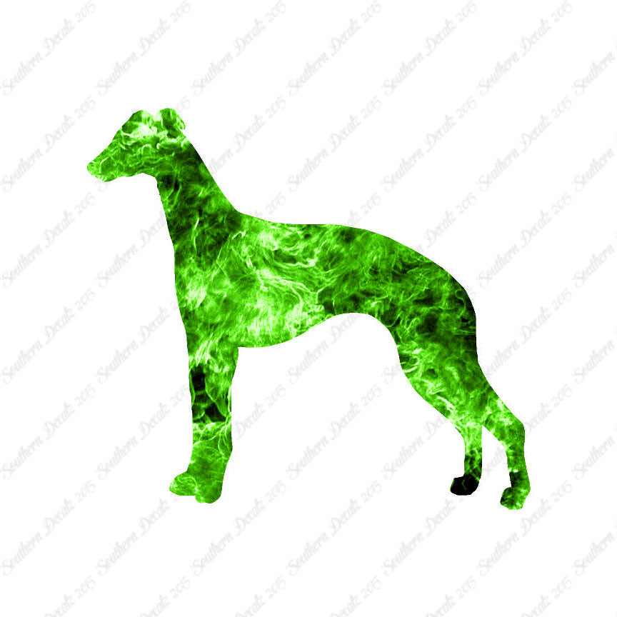 Whippet Dog Breed