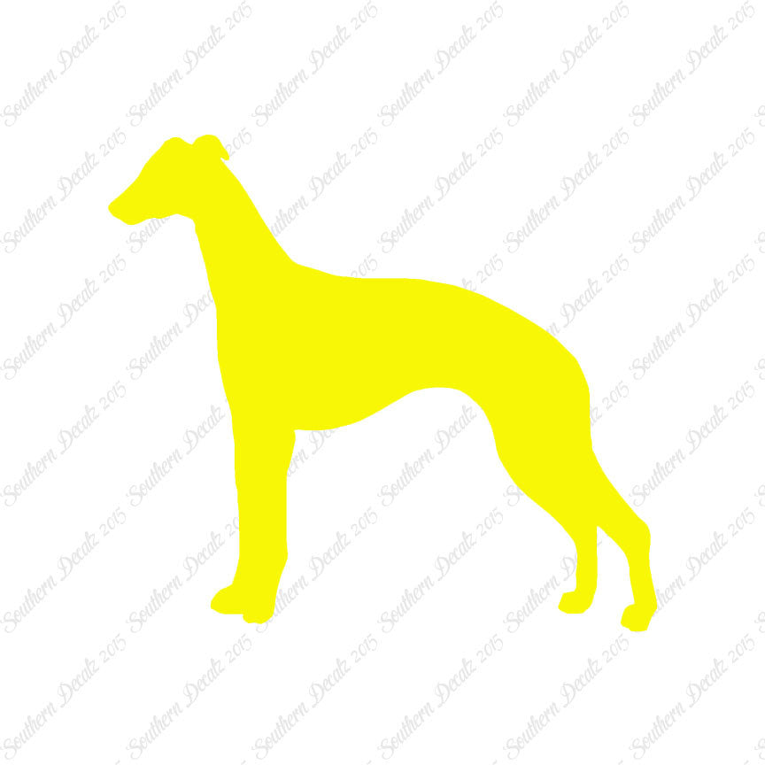 Whippet Dog Breed