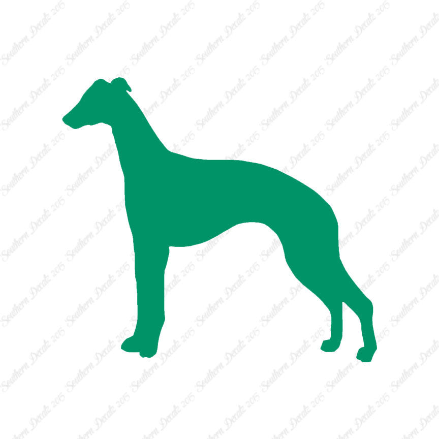 Whippet Dog Breed