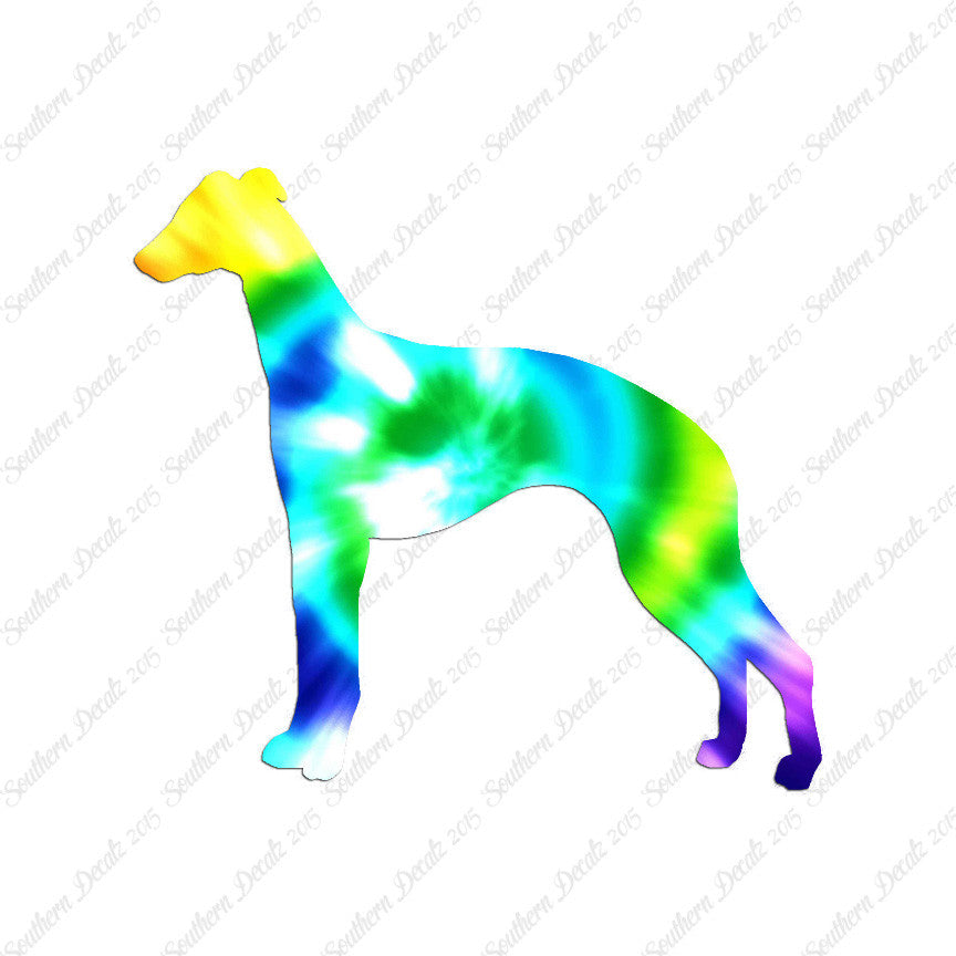 Whippet Dog Breed