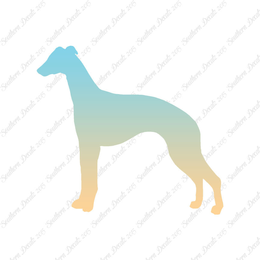 Whippet Dog Breed
