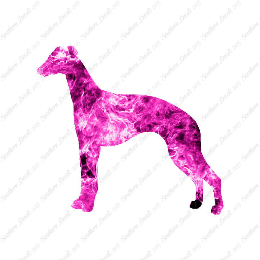 Whippet Dog Breed