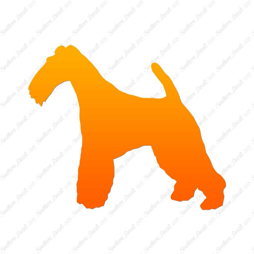 Wire Fox Terrier Dog Breed