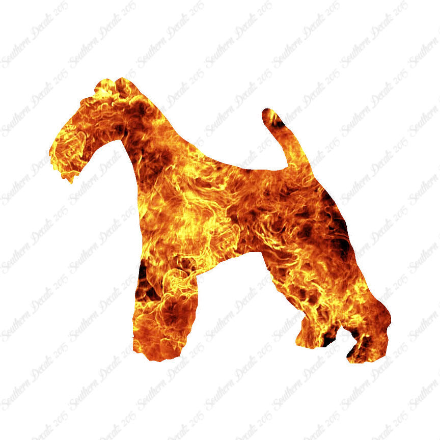 Wire Fox Terrier Dog Breed