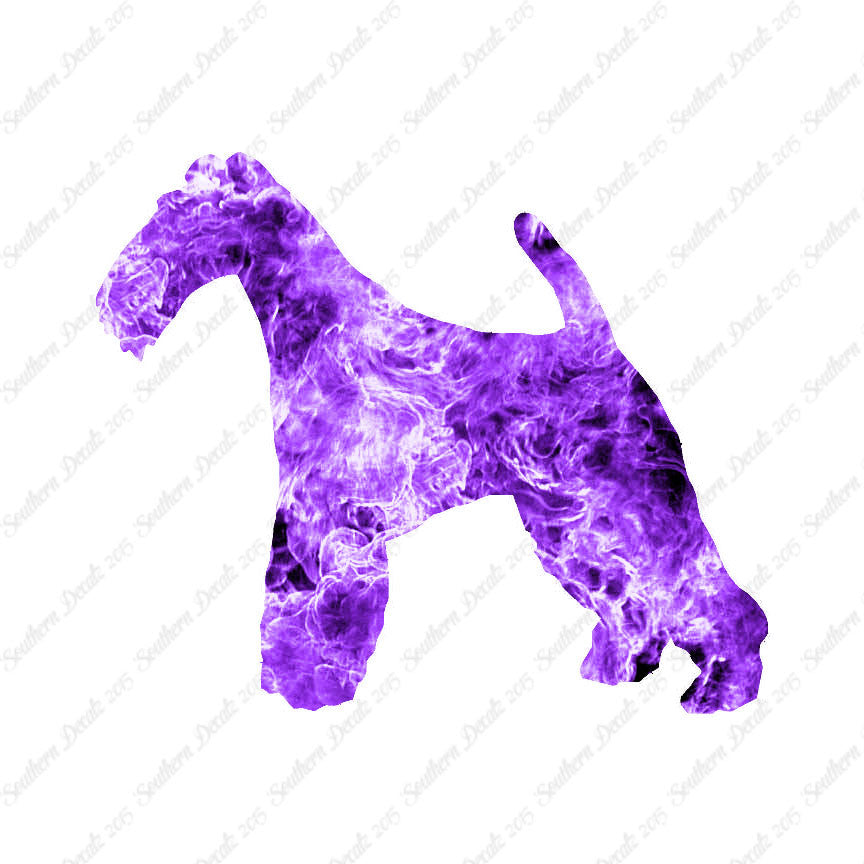 Wire Fox Terrier Dog Breed
