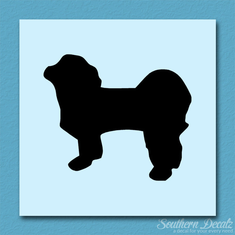 Shih Tzu Dog Breed