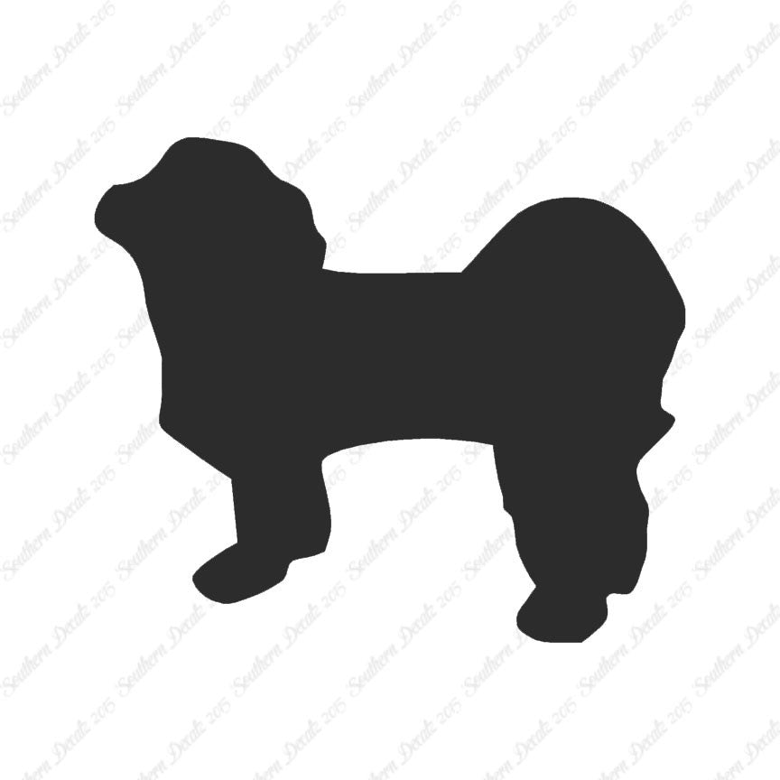 Shih Tzu Dog Breed