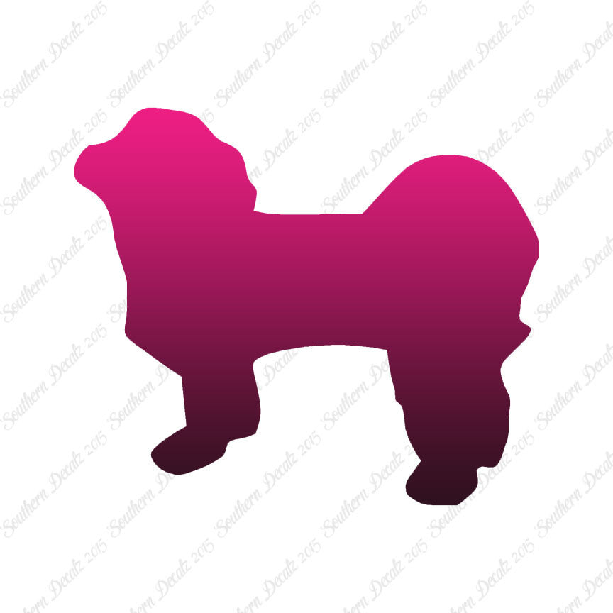 Shih Tzu Dog Breed